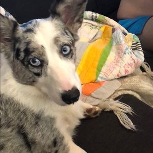 Meet your Posher, Rachel